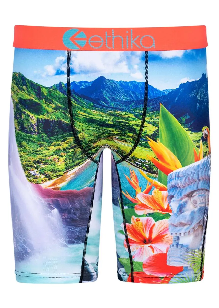 Ethika Island Time Underwear