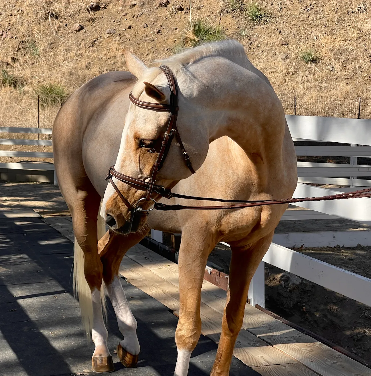 Halifax - Brown Leather Hunter Bridle