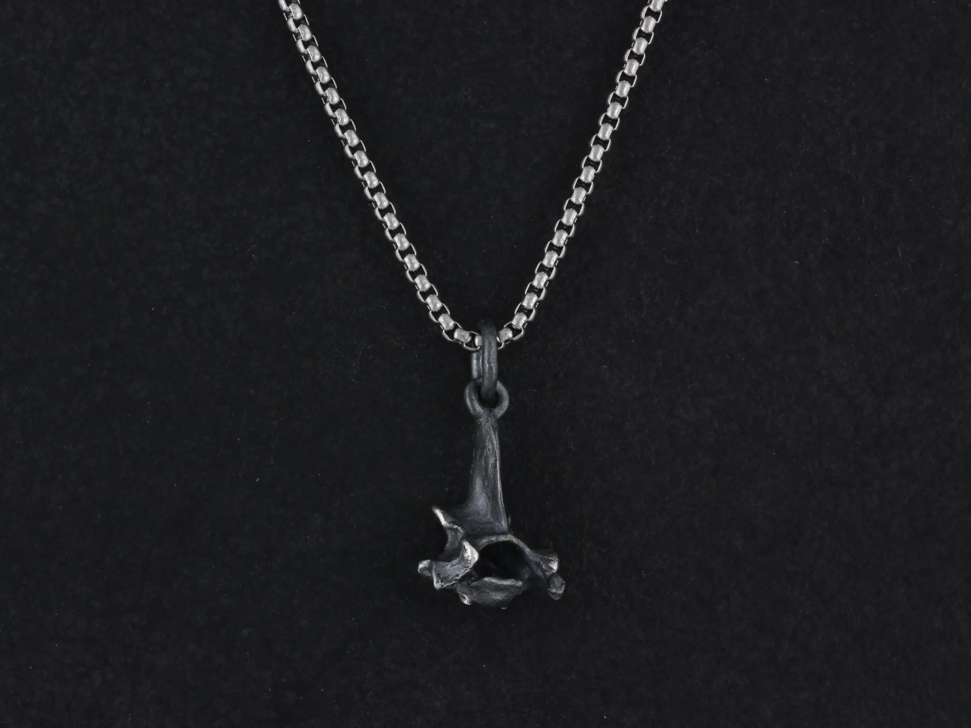 Sterling Silver Squirrel Vertebra Necklace